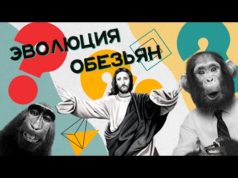 Почему не все обезьяны эволюционировали в человека? Хороший Вопрос