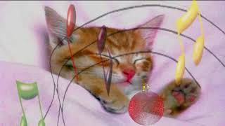 🐶THIS MUSIC HELPS to CALM the CAT and to SLEEP in less than a minute. 【Music for cats 】#MusicForCats