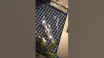 Exercise 2 ME 250 Arduino Servo movement