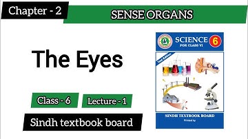 Sense Organs – The Eye | class 6 |Chapter 2 Lecture 1 | Sindh Textbook