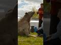 Inside the World of Dangerous Pets!🐻🐊 Watch now - Bear About the House #Pets #Documentary