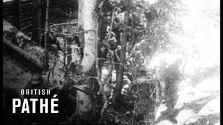 Italian Troops - In Trenches , Marching Through Woods (1914-1918)