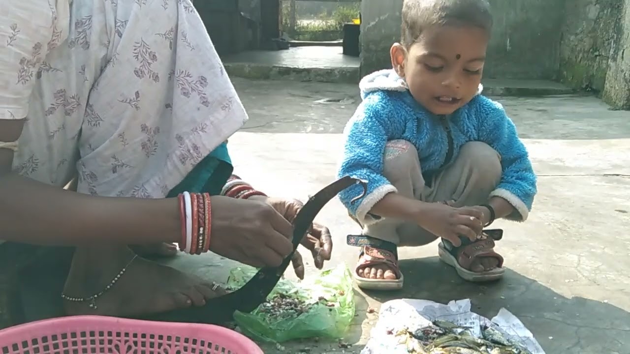 # ସମସ୍ତେ ମିଶି ମାଛ ବାଛି ଲୁ । Volg family video //🐟🐟