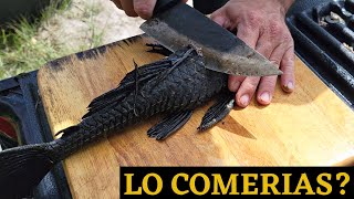 PEZ DIABLO, PESCA Y COCINA !