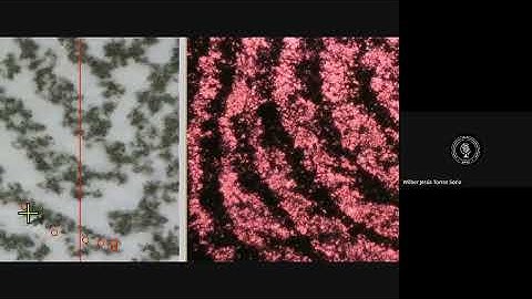 AEFICC - Wilber J. Torres Soria