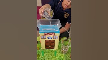 Rain water harvesting #project #schoolproject #rainwater  #harvesting #learningnewthings