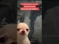 Memes #tiktok #gaming #warzone2 #memes #funny