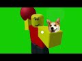 BALLER SAY WHAT THE HECK A dog in his hand