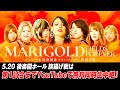 【第1試合まで同時無料生中継】新団体マリーゴールド5.20後楽園ホール旗揚げ戦はレッスルユニバースで独占生中継!