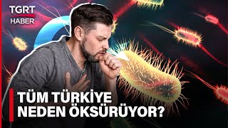 Binlerce Kişiyi Etkisi Altına Alan Gizemli Öksürüğün Sebebi Ne? Bir Çaresi Var Mı? - TGRT Haber