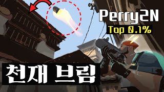 모든 각폭을 다 외워버린 해외 브림스톤 장인 Perry2N