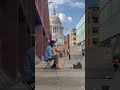 London’s Heartbeat: Cozy Harp Moments at St. Paul’s.