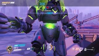 What is Rein play