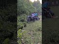 বনের সৌন্দর্য #shorts