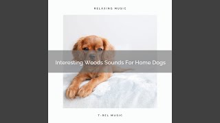 Total Nature Sounds Especially For Dogs