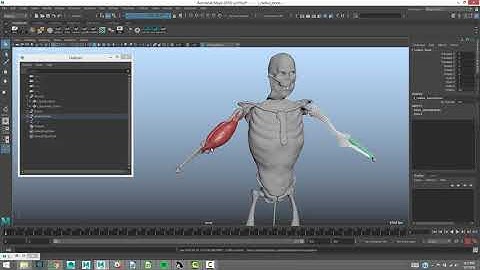 ZIVA VFX  How to Drive Ziva Bones