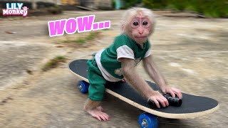 Smart monkey Lily skateboarding so fun