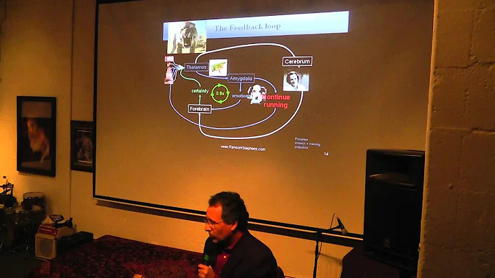 Ransom Stephens presents "The Reality Interface" P...