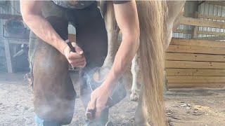 Quarter clipping a barrel horse