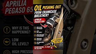 Oil Pushing Out From Crankcase Breather? | Aprilia Pegaso 650