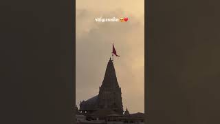 જય દ્વારકાધીશ 👑💫🦚 #live #love #dwarkastatdu #kedarnath #jaydwarikadhis #song #jaydwarkadhish #art