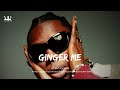 Blaqbonez Wizkid Rema Bnxn Type Beat GINGER ME Emotional Afrobeat Instrumental 2025