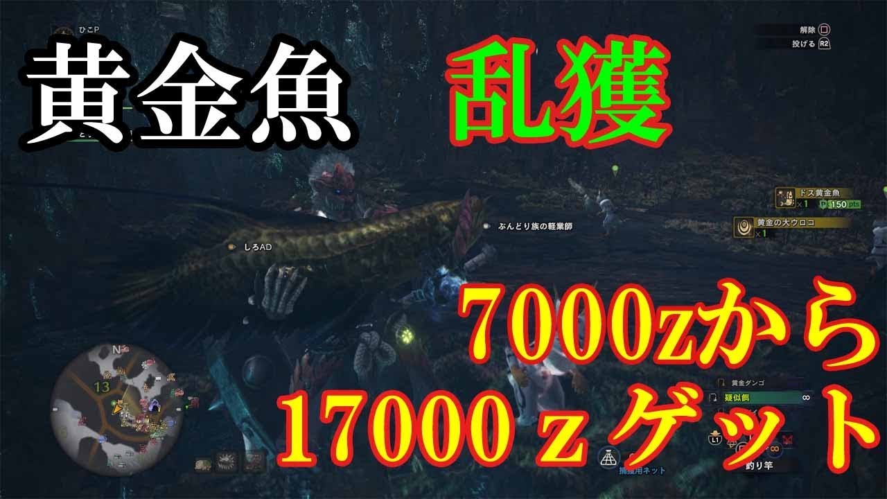 Mhw金策 手軽に最大z稼げるドス黄金魚の場所と釣り方 ゆっくり実況 ちなみに金の古代竜人手形gに繋がります Youtube