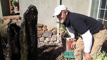 Basalt Column Fountain by Ponderiffic Adventures