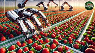 Overview of How Robots Grow and Harvest Millions of Vegetables Every Day #farm #naturefarm