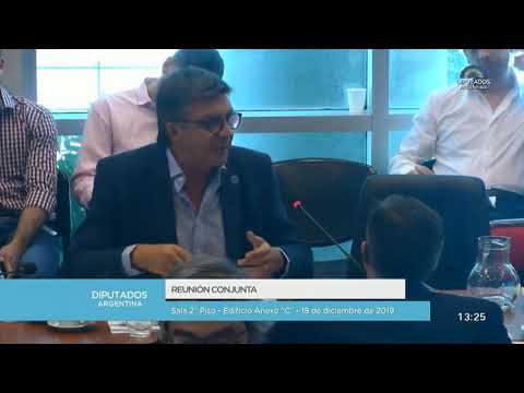 Gustavo Menna- Plenario de comisiones- Emergencia económica