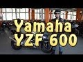 [Докатились!] Обзор Yamaha YZF 600 Thundercat. Задиристый котик.