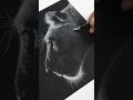 Drawing a lioness on black paper #naturesounds #animaldrawing #art #lioness