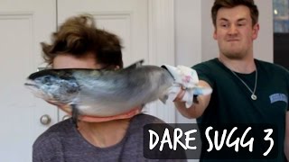 DARE SUGG 3