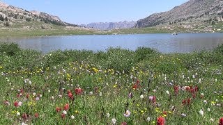 Fishing Wind Rvr Mntns, Summit Lake, 4 of 7