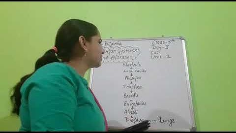 E.V.S class 5th Day 3 Part 1 Unit 2 (Organ Systems and Disease) Working of respiratory system