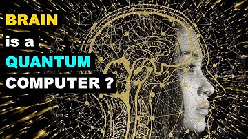 Is Our Brain a Quantum Computer? Exploring the Mind-Quantum Connection