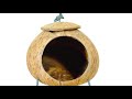 Bird House Bird House