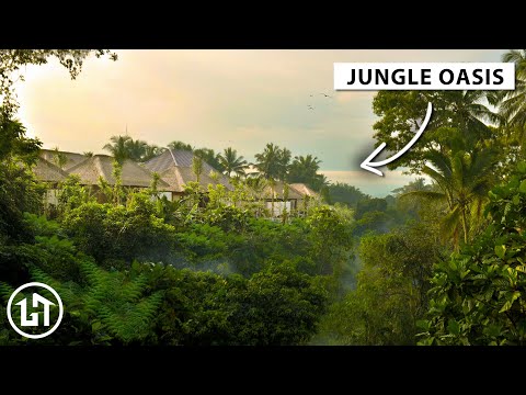 Does Bali Have Tropical Rainforest