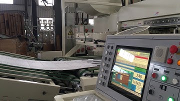 Dinglong flexo printer machine