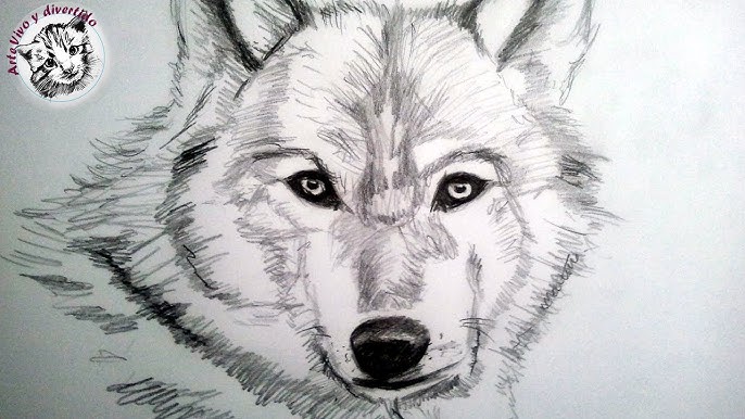 pix Dibujos Geniales A Lapiz Faciles De Hacer como dibujar un lobo a lapiz paso a