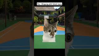 Sirkel Terbaik Masa Masa Sekolah Meme Kucing