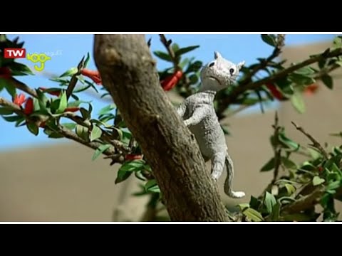 قصه های مثنوی معنوی مولانا گوشت و گربه 