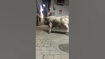 Когда бык хочет тебя ...