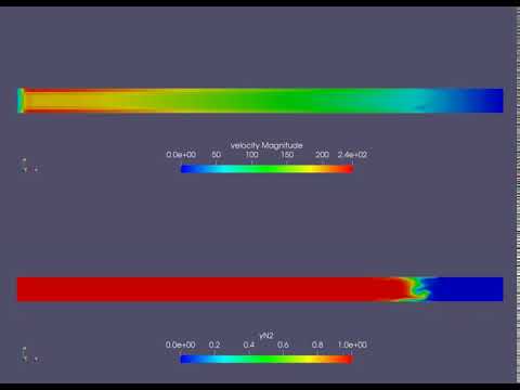 Shock Tube Simulation