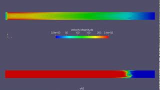Shock Tube Simulation