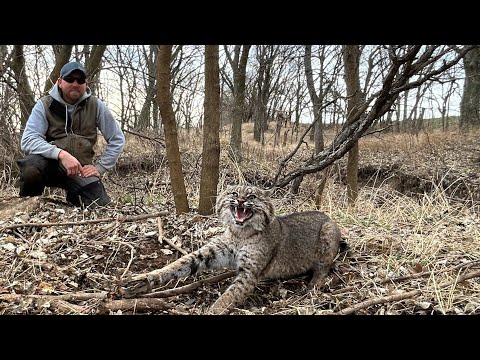 Kansas Trapping Experience Day 3