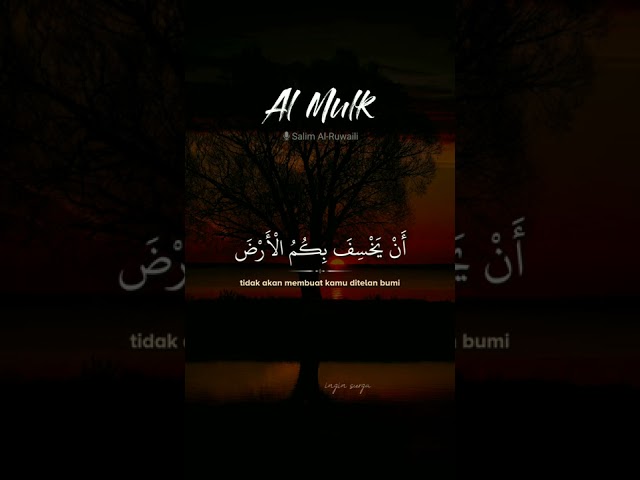 Al Mulk   Salim Al Ruwaili class=