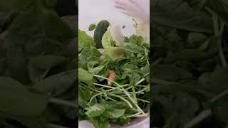 Can Eating Local Promote Sustainability? #shorts