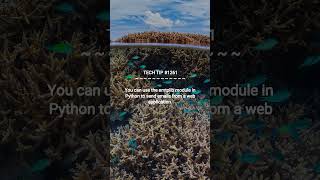 Sending Emails with smtplib in Python :: 2025-10-30 #shorts #TechTips #dotKey
