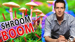 You Won't Believe What Industry Is Set To Boom!